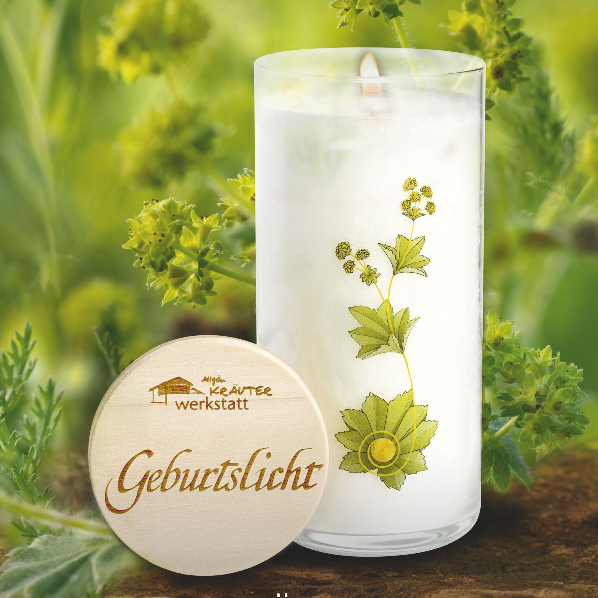 Geburtslicht - Allgäuer Heilkräuterkerze im Glas, vor grünem Hintergrund