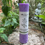 Ritualkerze Reinigung aus der Allgäuer Heilkräutermanufaktur, Farbe Lila. Auf einer Steinmauer zwischen grünen Blättern