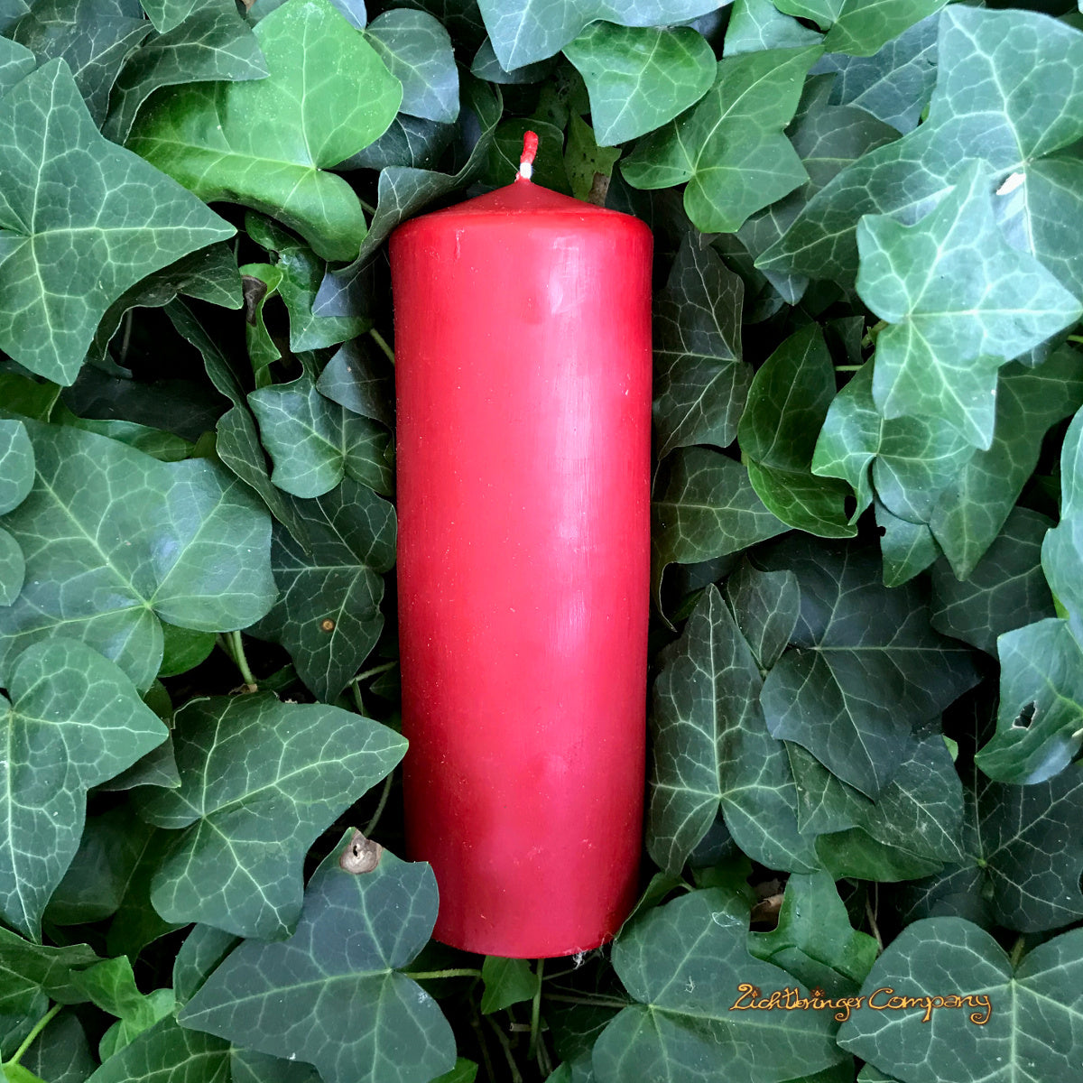 Rote Bienenwachskerze in Efeu, 18 cm hoch, 6 cm Durchmesser
