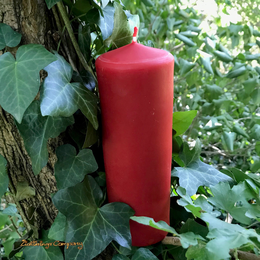rote Bienenwachskerze an Baumstumpf mit Efeu