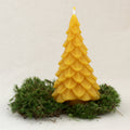 Kleine Tannenbaumkerze aus Bienenwachs, Höhe 11 cm