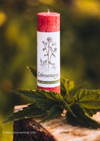 Lebensenergie, rot leuchtende Ritualkerze mit Brennesselpflanze, Kerze aus der Allgäuer Heilkräutermanufaktur