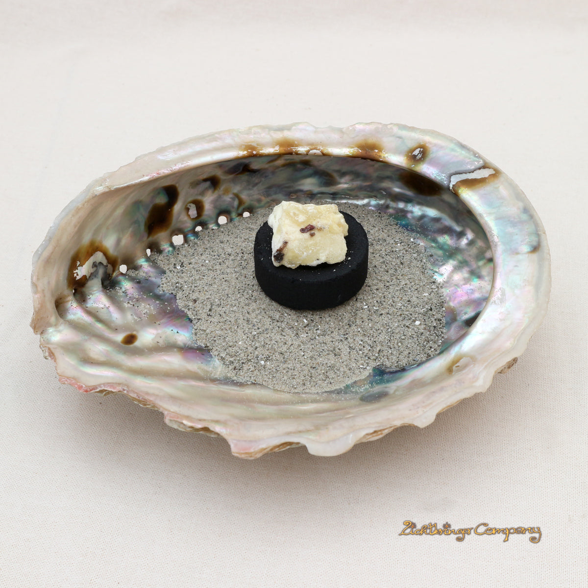 Große Abalone Paua Muschel