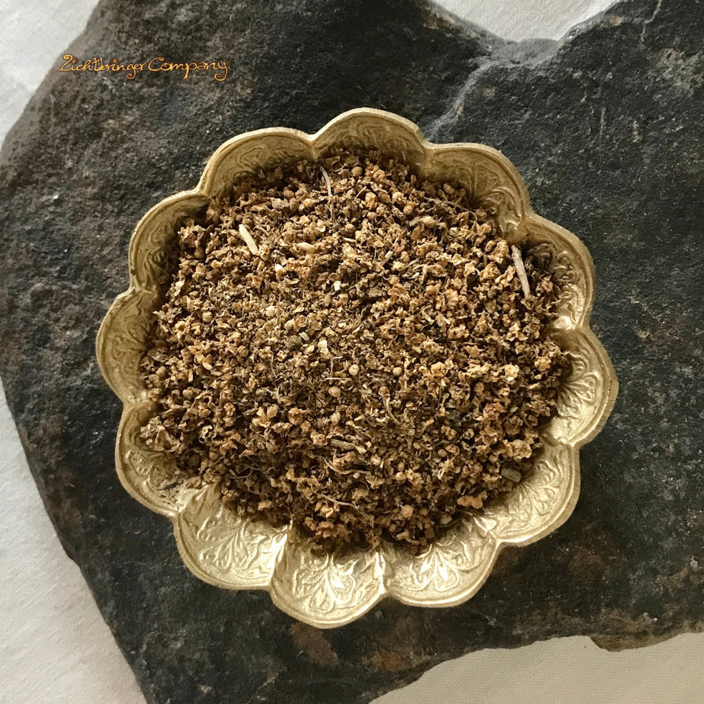 Fleurs de sureau