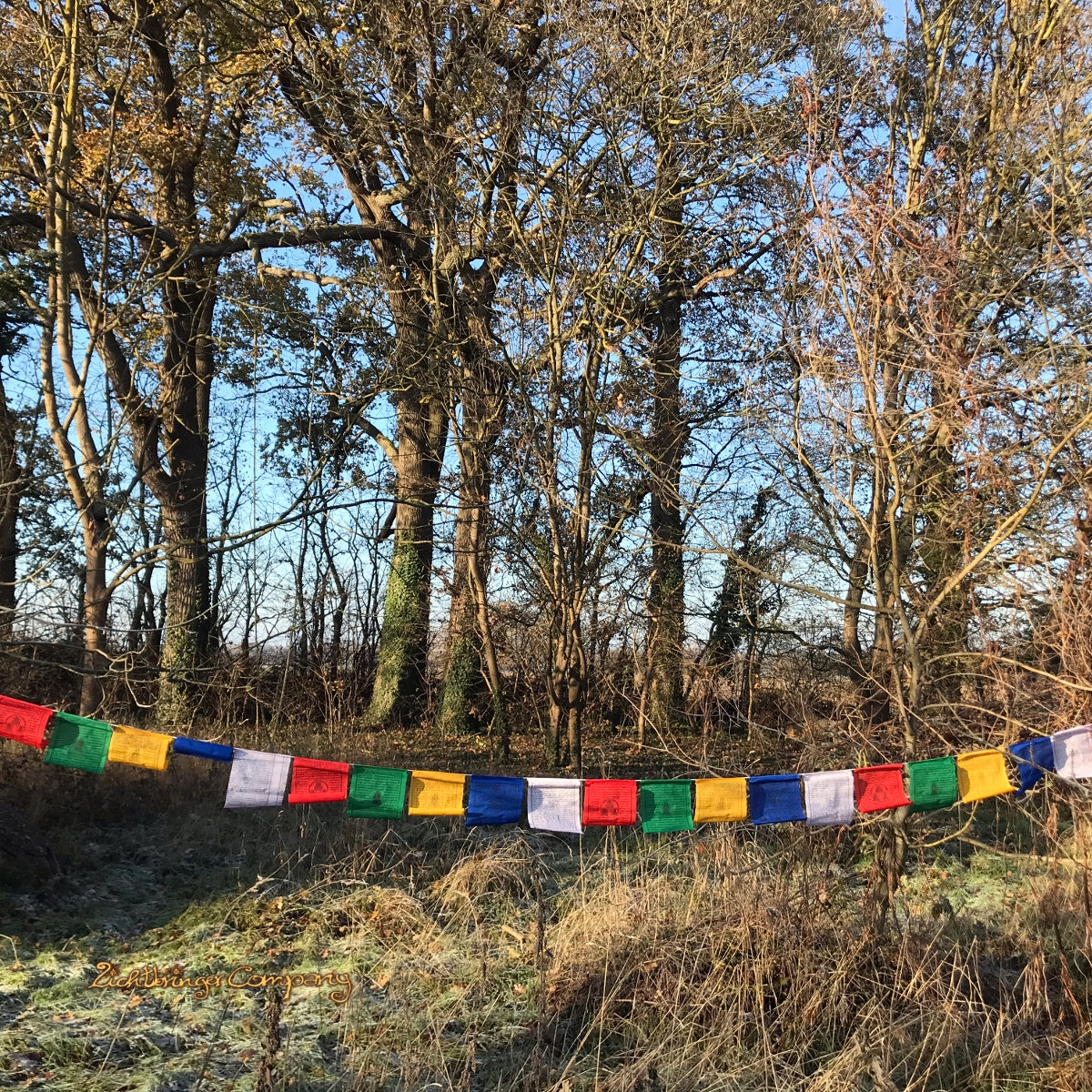 Tibetan Prayer Flags 4.20 m long - made of cotton