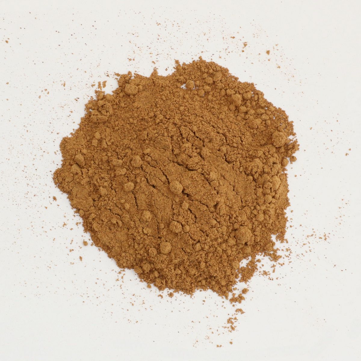 Guaranapulver – fein gemahlene Samen der Liane Cupana (Paullinia cupana)